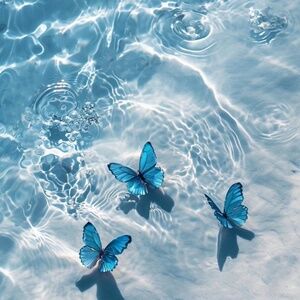 Meet your Posher, Crystal